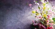 شعر در مورد آمدن بهار ؛ از شاملو و سهراب سپهری و مولانا و سعدی و هوشنگ ابتهاج