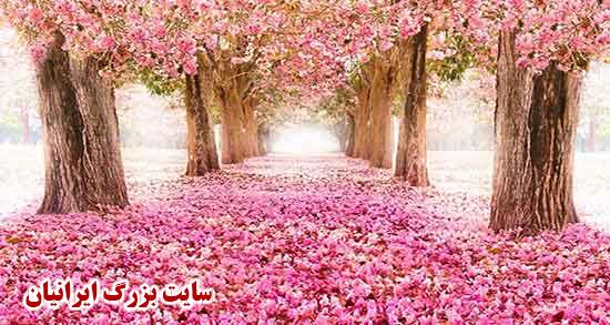 شعر دوبیتی در مورد بهار