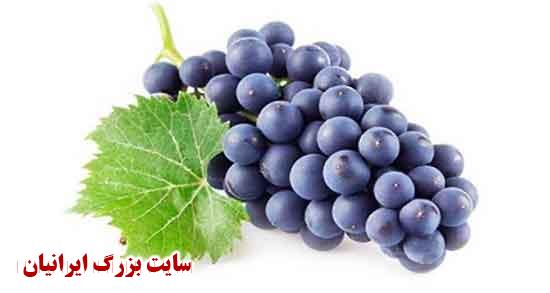 تعبیر خواب انگور تعبیر خواب انگور لعل تعبیر خواب انگور برای دختر مجرد تعبیر خواب انگور سفید دانه درشت تعبیر خواب انگور قرمز و زرد تعبیر خواب انگور زرد تعبیر خواب انگور از حضرت یوسف تعبیر خواب انگور سبز هدیه گرفتن تعبیر خواب انگور و گردو