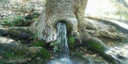 تعبیر خواب چشمه حضرت یوسف در دل کوه و بیابان و آب زلال و جوشان در باغ