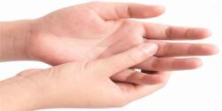 تعبیر خواب دست امام صادق و دست چپ و دیگری و خدا و چرب و سیاه