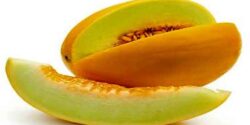 تعبیر خواب خربزه حضرت یوسف و خربزه زرد دادن به مهمان برای زن باردار
