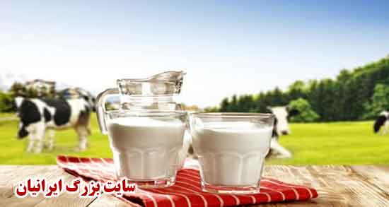  تعبیر خواب شیر از حضرت یوسف تعبیر خواب شیر و خرس تعبیر خواب شیر و پلنگ تعبیر خواب شیر و اسب تعبیر خواب شیر نر تعبیر خواب شیر جنگل نی نی سایت تعبیر خواب شیر نر بزرگ تعبیر خواب شیر ماده بزرگ