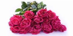 تعبیر خواب گل دادن به یک نفر و زدن به مو و گل و لای سبز و گل مصنوعی