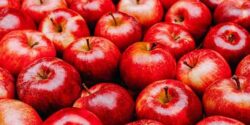 تعبیر خواب سیب قرمز هدیه گرفتن از مرده و حضرت یوسف برای دختر مجرد و سیب سبز