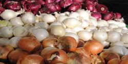 تعبیر خواب پیاز گندیده حضرت یوسف و قرمز داغ سوخته کوهی و پیاز دادن به مرده