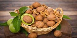 تعبیر خواب گردو از امام صادق و چیدن گردو از درخت خشک در آب و گردو گرفتن از مرده