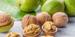 تعبیر خواب گردو برای زن حامله نی نی سایت و گردو چیدن و جنسیت جنین نی نی سایت