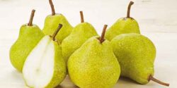 تعبیر خواب گلابی حضرت یوسف و جنسین جنین نی نی سایت و گلابی کال چیدن