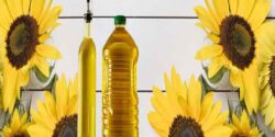 تعبیر خواب روغن موتور و روغن سرخ شده و روغن خریدن و روغن زرد و کنجد حضرت یوسف و روغن سیاه گرفتن از دمبه