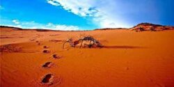 تعبیر خواب صحرا و سفر در صحرا و دشت و صحرا و بیابان در خواب و آب در بیابان