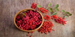 تعبیر خواب زرشک امام صادق و زرشک تازه و سبز و سیاه برای زن باردار
