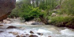 تعبیر خواب آب رودخانه و آب زلال رودخانه و گل آلود و جاری شدن آب در رودخانه خشک