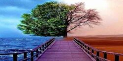 تعبیر خواب برزخ و رفتن به عالم دیگر و مردن و رفتن به برزخ بهشتی و رفتن به اون دنیا