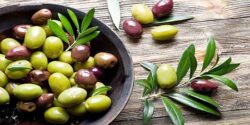 تعبیر خواب برگ زیتون از امام صادق و حضرت یوسف و ابن سیرین