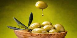 تعبیر خواب زیتون حضرت یوسف و زیتون سبز چیست نی نی سایت و آلو حضرت یوسف