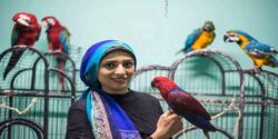 تعبیر خواب طوطی سفید در خانه و گرفتن طوطی سفید و سبز در خانه امام صادق و کاسکو
