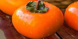 تعبیر خواب میوه خرمالو و چیدن خرمالو از درخت و انار و کیا تو بارداری خرمالو دیدن