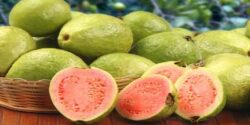 تعبیر خواب میوه گواوا از امام صادق و حضرت یوسف و ابن سیرین