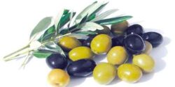 تعبیر خواب هسته زیتون و خواندن سوره زیتون و زیتون و انجیر یوتاب و روغن کنجد و دزدیدن روغن