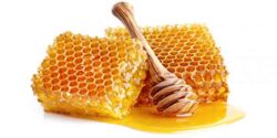 تعبیر خواب چاه عسل و کندن عسل از درخت و استخر عسل برای دختر مجرد و عسل کوهی