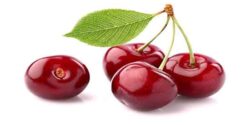 تعبیر خواب گیلاس خریدن حضرت یوسف و گیلاس سیاه امام صادق و گیلاس یخ زده