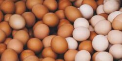 تعبیر خواب تخم مرغ و تعبیر خواب شکستن تخمه مرغ از امام صادق و حضرت یوسف