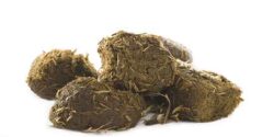 تعبیر خواب مدفوع گوسفندی و خوردن مدفوع خودت و گربه در دستشویی