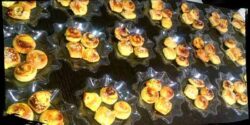 تعبیر خواب نذری گرفتن شیرینی و خوردن شیرینی و شکلات و عدسی نذری و آب نذری دادن