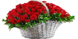 تعبیر خواب خواستگاری مرده از زنده و خواستگاری رفتن برای برادر ابن سیرین