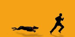 تعبیر خواب فرار از سگ زرد و سفید و سیاه و ترسیدن از سگ و فرار کردن
