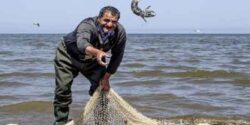 تعبیر خواب ماهی گرفتن از دریا با توز و دست و قلاب از مرداب برای دختر مجرد