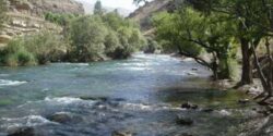 تعبیر خواب رودخانه شیر خوردنی از حضرت یوسف