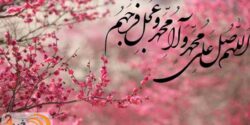 تعبیر خواب صلوات فرستادن در قبرستان برای مرده و دسته جمعی و صلوات فرستادن از امام صادق و دختر مجرد