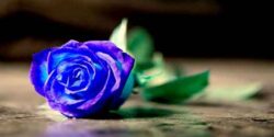 تعبیر خواب مجامعت با مرده و پدر و شوهر و معشوق و زن و حضرت یوسف