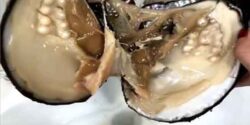 تعبیر خواب مروارید در شکم ماهی و دختر مجرد و ابن سیرین و امام صادق