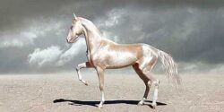 تعبیر خواب اسب و گاو و دیدن اسب کهربایی و طلایی در اب و سوارشدن بر گاو