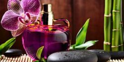 تعبیر خواب عطر هدیه دادن و هدیه گرفتن عطر و ادکلن از مرد و امام صادق و حضرت یوسف