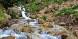 تعبیر خواب چشمه در بیابان و نهر و کوه و راه رفتن داخل اب زلال و مرده در اب زلال و امام صادق