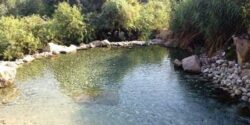 تعبیر خواب چشمه در کوه و خوردن اب چشمه سبز رنگ و چشمه اب گل الود و حضرت یوسف