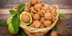 تعبیر خواب درخت گردو سبز برای زن باردار و امام صادق و گردو خشک شده