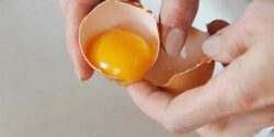 تعبیر خواب دیدن تخمه مرغ از امام صادق و حضرت یوسف برای دختر مجرد