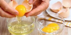 تعبیر خواب دیدن تخمه مرغ دو زرده خام از امام صادق و حضرت یوسف برای زن باردار