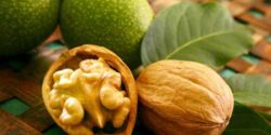 تعبیر خواب گردو چوبی با پوست خشک و سبز برای زن باردار و چیدن گردو از درخت بدون پوست و درخت گردو سبز امام صادق و ابن سیرین