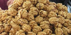 تعبیر خواب گردو ابن سیرین شکستن و خوردن با پوست خشک و جمع کردن گردو و هدیه گرفتن