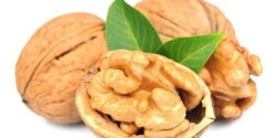 تعبیر خواب کاشتن درخت گردو و بید سرقبر و خواب درخت گردو