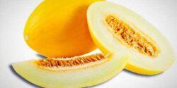 تعبیر خواب خربزه گرفتن از مرده گرفتن خربزه شکسته و میوه و خوردن با مرده و امام صادق