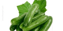 تعبیر خواب خیار ابن سیرین برای دختر مجرد و خیار سبز و زرد گرفتن از دیگران