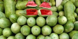 تعبیر خواب خوردن هندوانه توسط مرده و هندوانه بزرگ و قرمز امام صادق و جنسیت جنین و ابن سیرین و حضرت یوسف