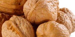 تعبیر خواب مغز گردو گرفتن از مرده برای زن باردار از نظر امام صادق و ابن سیرین